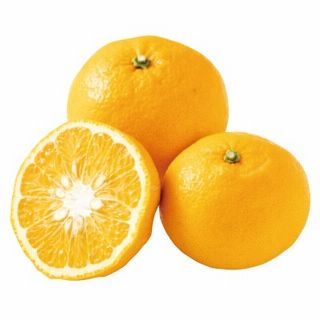 甘夏柑(Lサイズ)