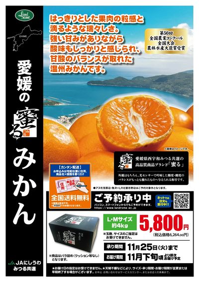 蜜るみかん