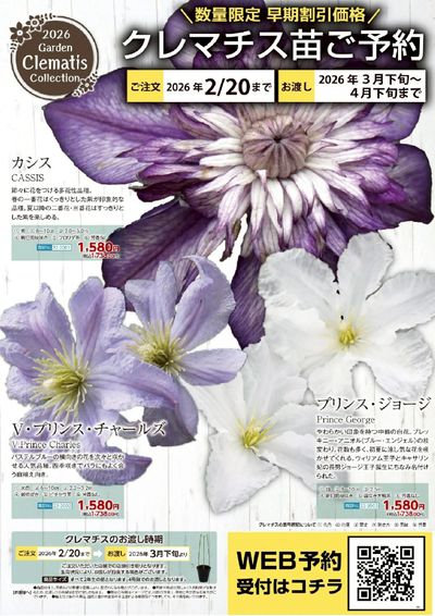 バラクレマチス苗予約受付中!