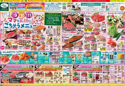 5/9号