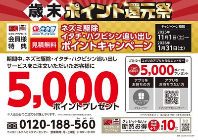 ネズミ駆除、イタチ・ハクビシン追い出し ポイントキャンペーン