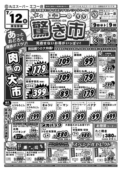7月12日 エコー単独チラシ オモテ