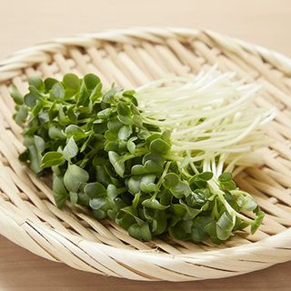 カイワレ大根