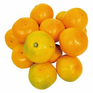 ゆら早生みかん