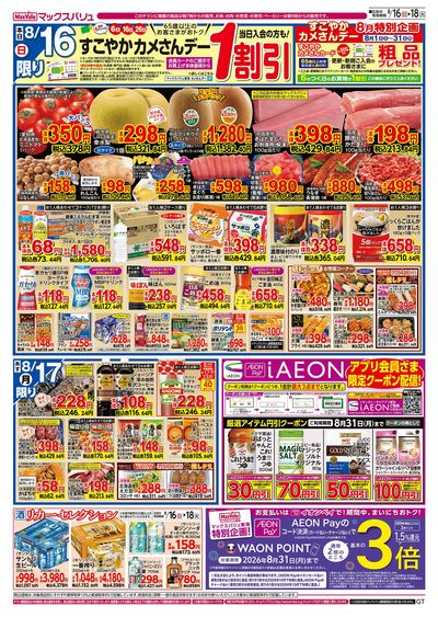 8/16号 カメさんデー/火水曜市:オモテ