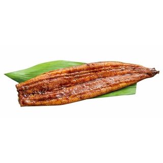 浜名湖産うなぎ長焼