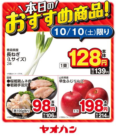 本日のおすすめ商品!