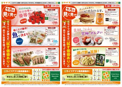 今月の見て見て