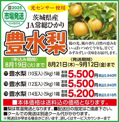 茨城県産 JA常総ひかり 豊水梨 ご予約承り中