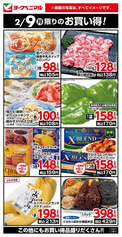 2/9限りのお買い得!