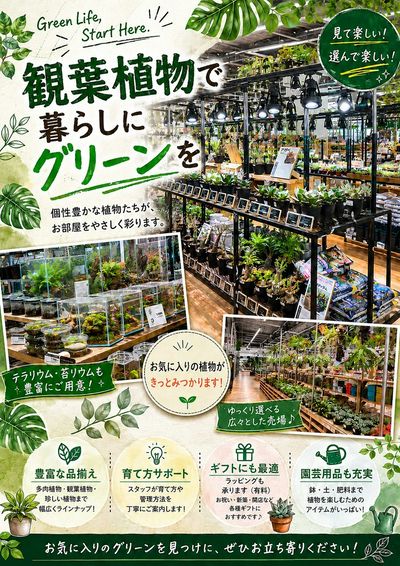 ムサシ須坂店おススメ情報!