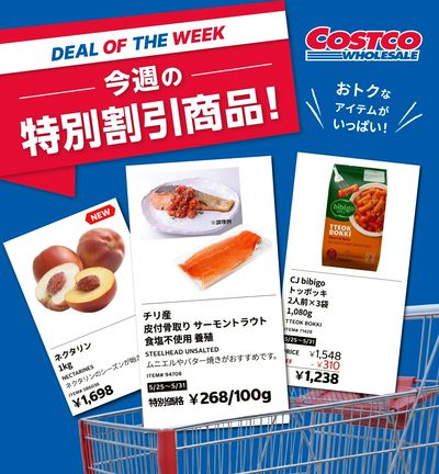 LINEチラシ│LINEでお得なチラシ情報を簡単にチェック