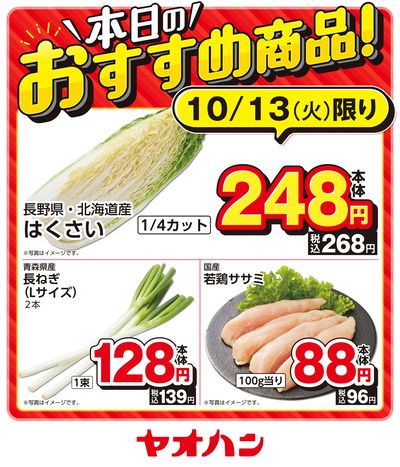 本日のおすすめ商品!