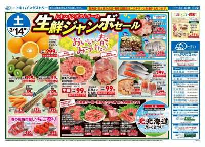 26TO0314B4明野-N-特5-1