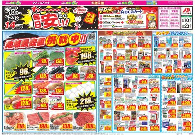 6月10日開始チラシ:表