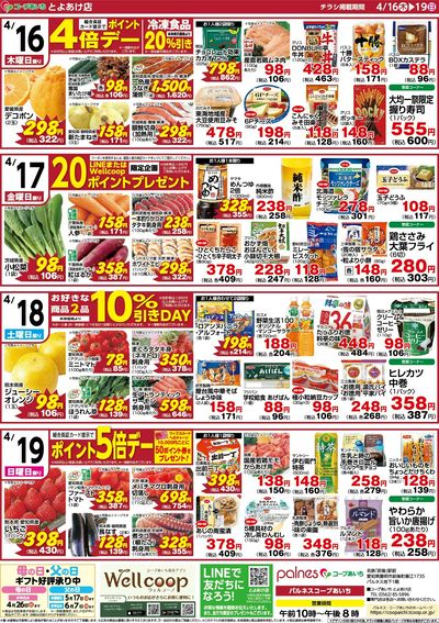 パルネスチラシ
