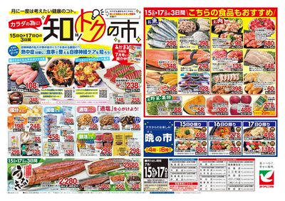 7/15号 ウラ