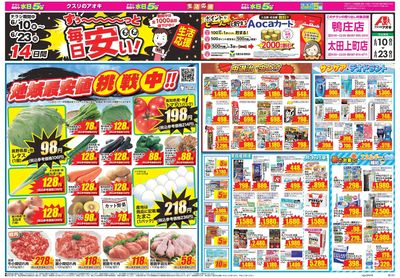 6月10日開始チラシ:表