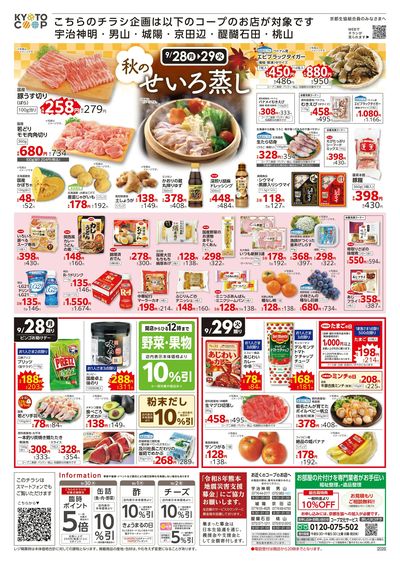 9月28日~9月29日チラシ裏