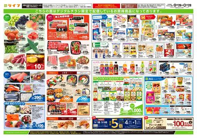 8/26号 日替わりセール!