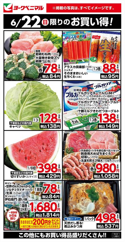 6/22限りのお買い得!