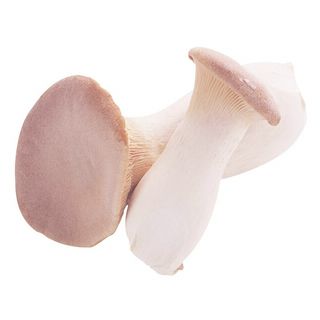 新潟産他 エリンギ 1パック
