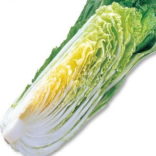 白菜