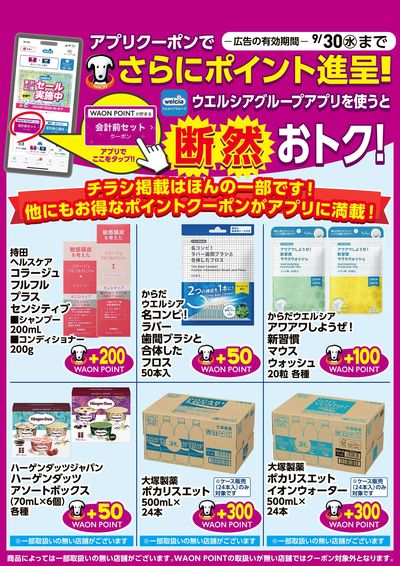 キャンペーン情報