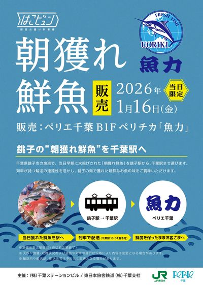 1月16日(金)【はこビュン】銚子の"朝獲れ鮮魚"をペリエ千葉へ