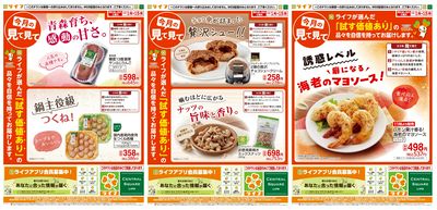 今月の見て見て