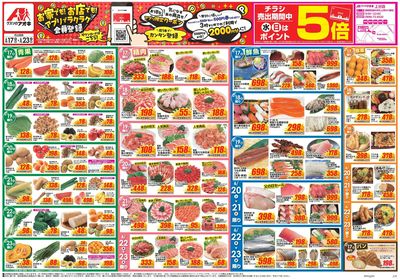 6月17日開始チラシ:表
