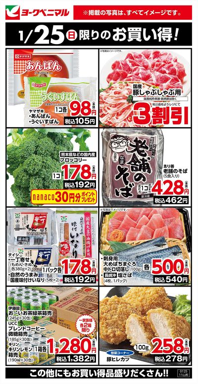 1/25限りのお買い得!