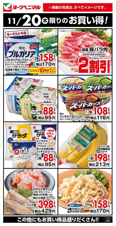 11/20限りのお買い得!