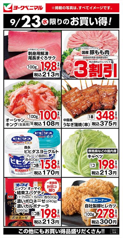 9/23限りのお買い得!