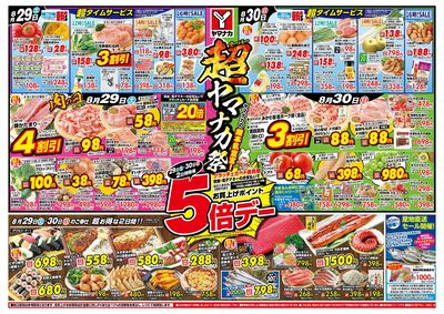 8/29-30 超ヤマナカ祭