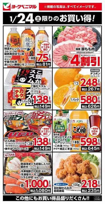 1/24限りのお買い得!