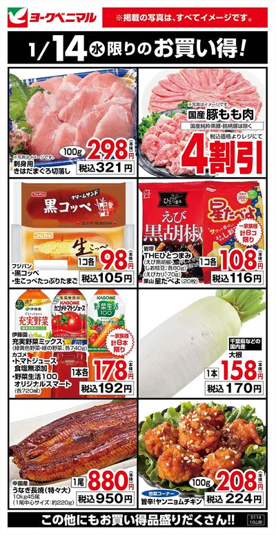 1/14限りのお買い得!