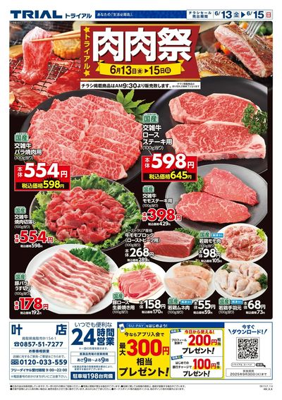 叶店_表