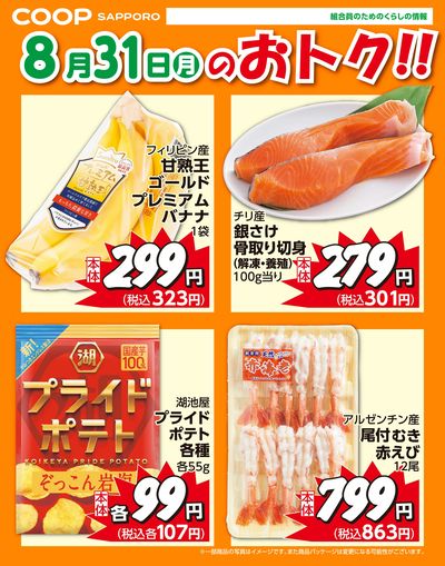 8月31日お買得品