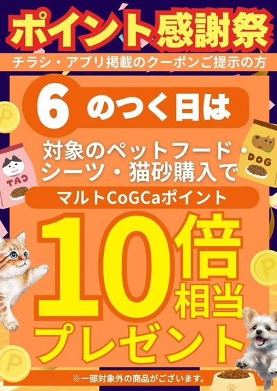 6のつく日は