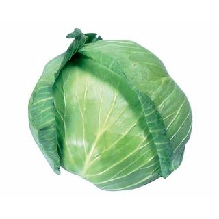 千葉県産他キャベツ