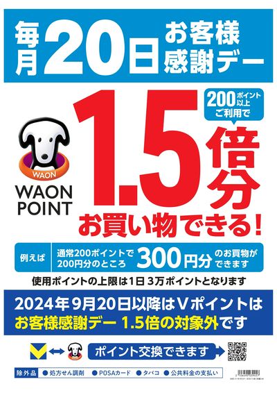 チラシキャンペーン情報