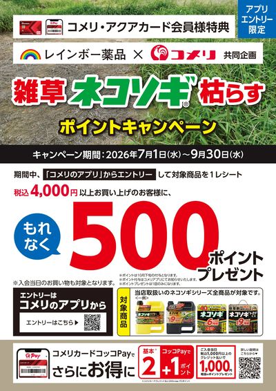 ネコソギ ポイントキャンペーン