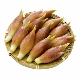 高知産 みょうが 1パック