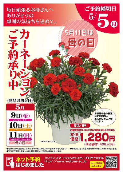 カーネーションご予約承り中