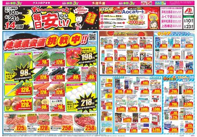 6月10日開始チラシ:表