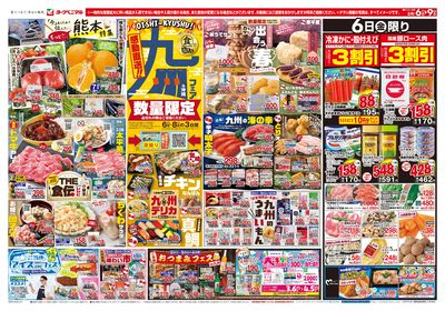 3/6号 オモテ