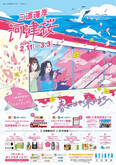 三浦海岸 河津桜キャンペーン開催!