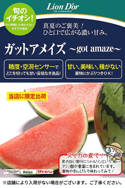 リオン・ドールのおいしさ宣言!
