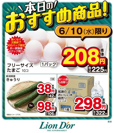 本日限りの日替わり商品!新潟県